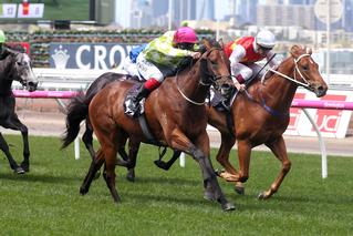 Inside Agent winning the Poseidon Stakes